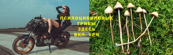 мяу мяу кристалл Алексеевка