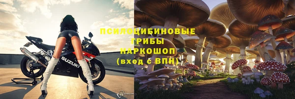 МДПВ Алзамай