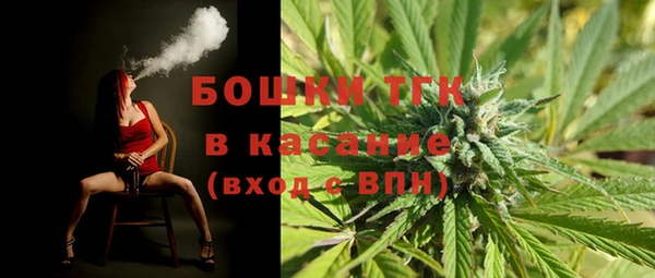 МДПВ Алзамай