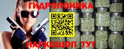 2c-b Гусев