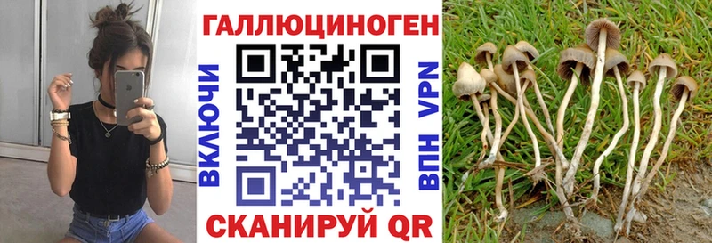 наркота  Полысаево  Псилоцибиновые грибы Magic Shrooms 