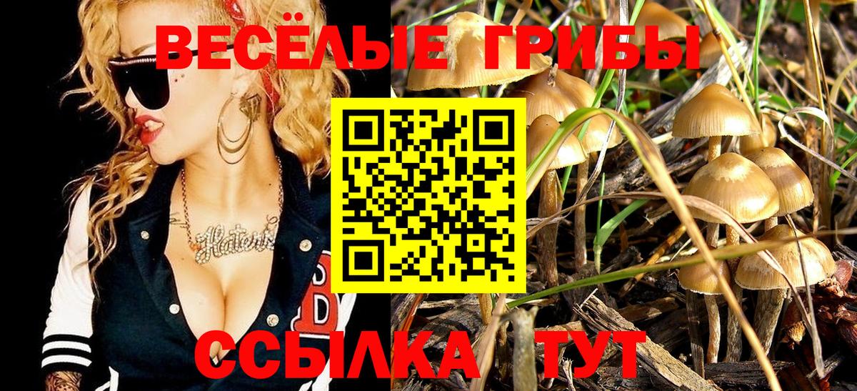 Псилоцибиновые грибы Cubensis  Вход с VPN  Полысаево  Псилоцибиновые грибы мухоморы 